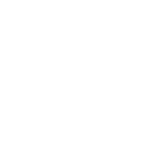 Old Grizzly Bear